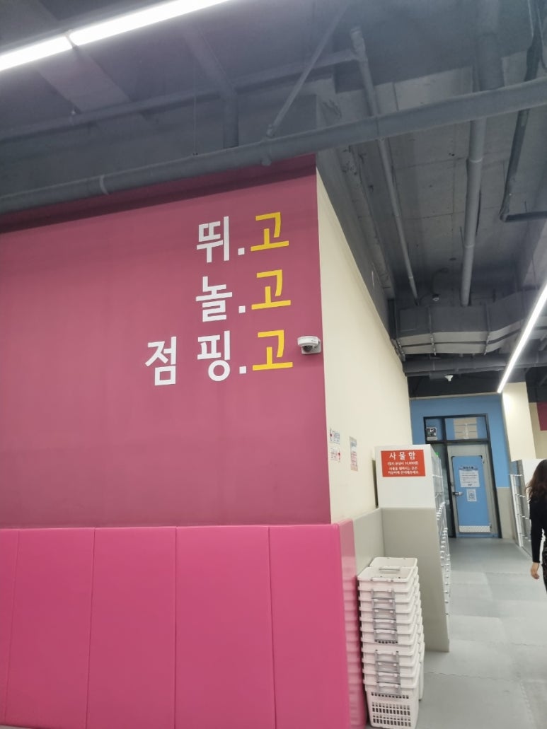 점핑고 이미지