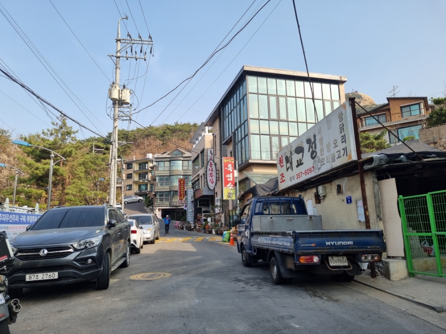 오만물 이미지