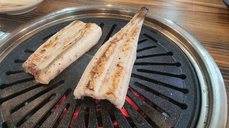 돌곶이민물장어 이미지