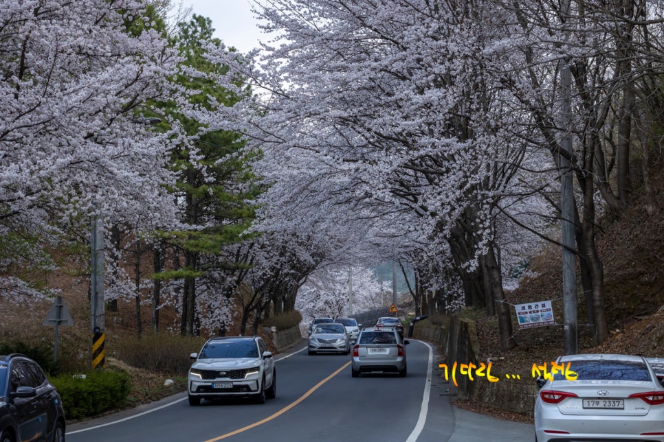 헐티재가는길 이미지