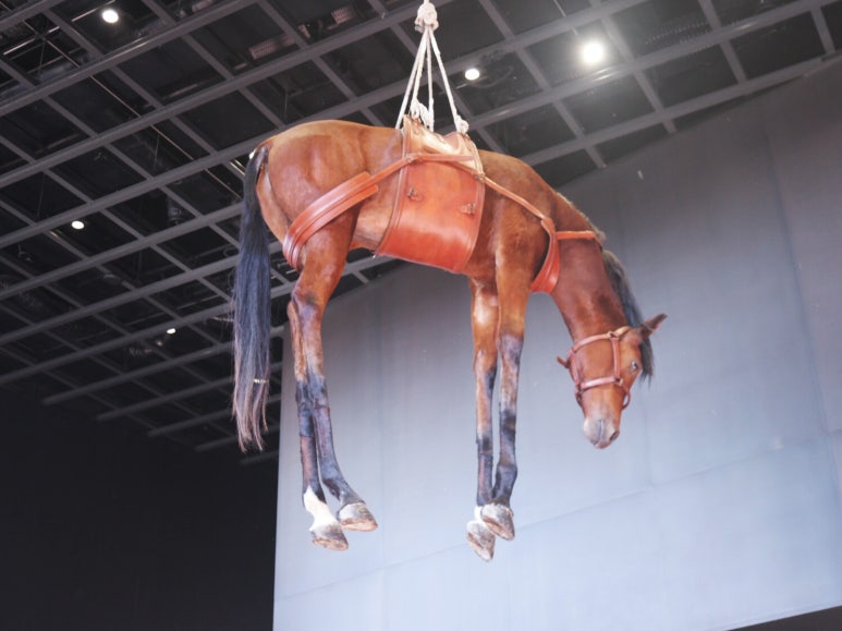 전진문화사 이미지