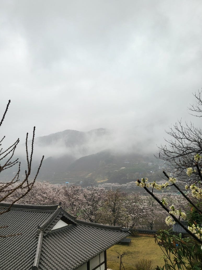 아원산방 이미지