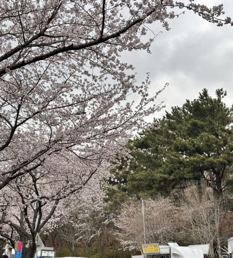 윤산푸드 이미지