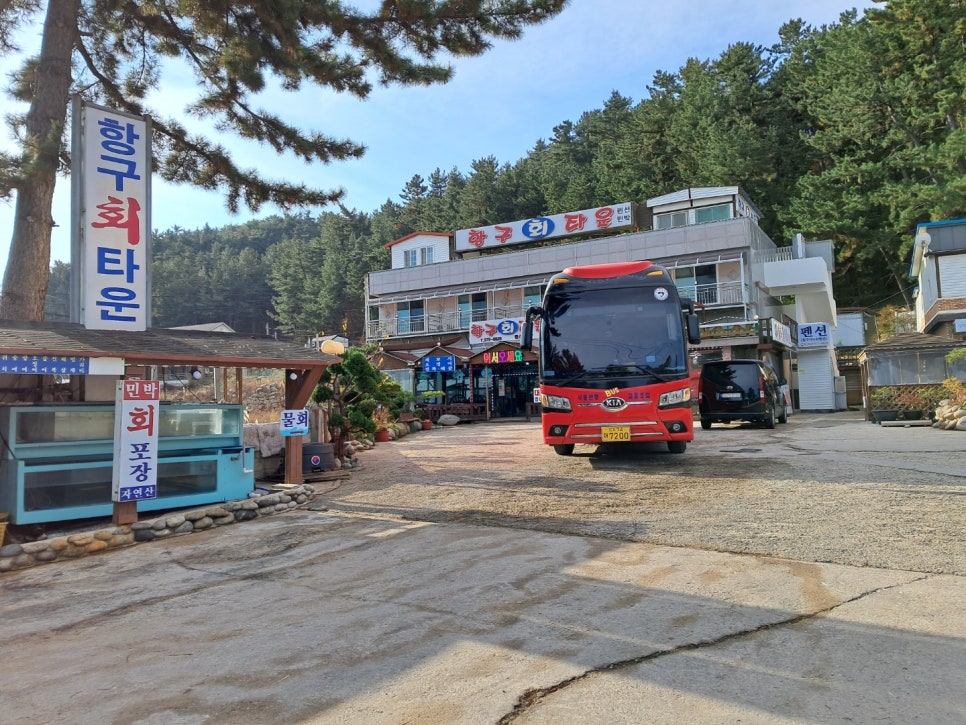 싱싱회타운 이미지