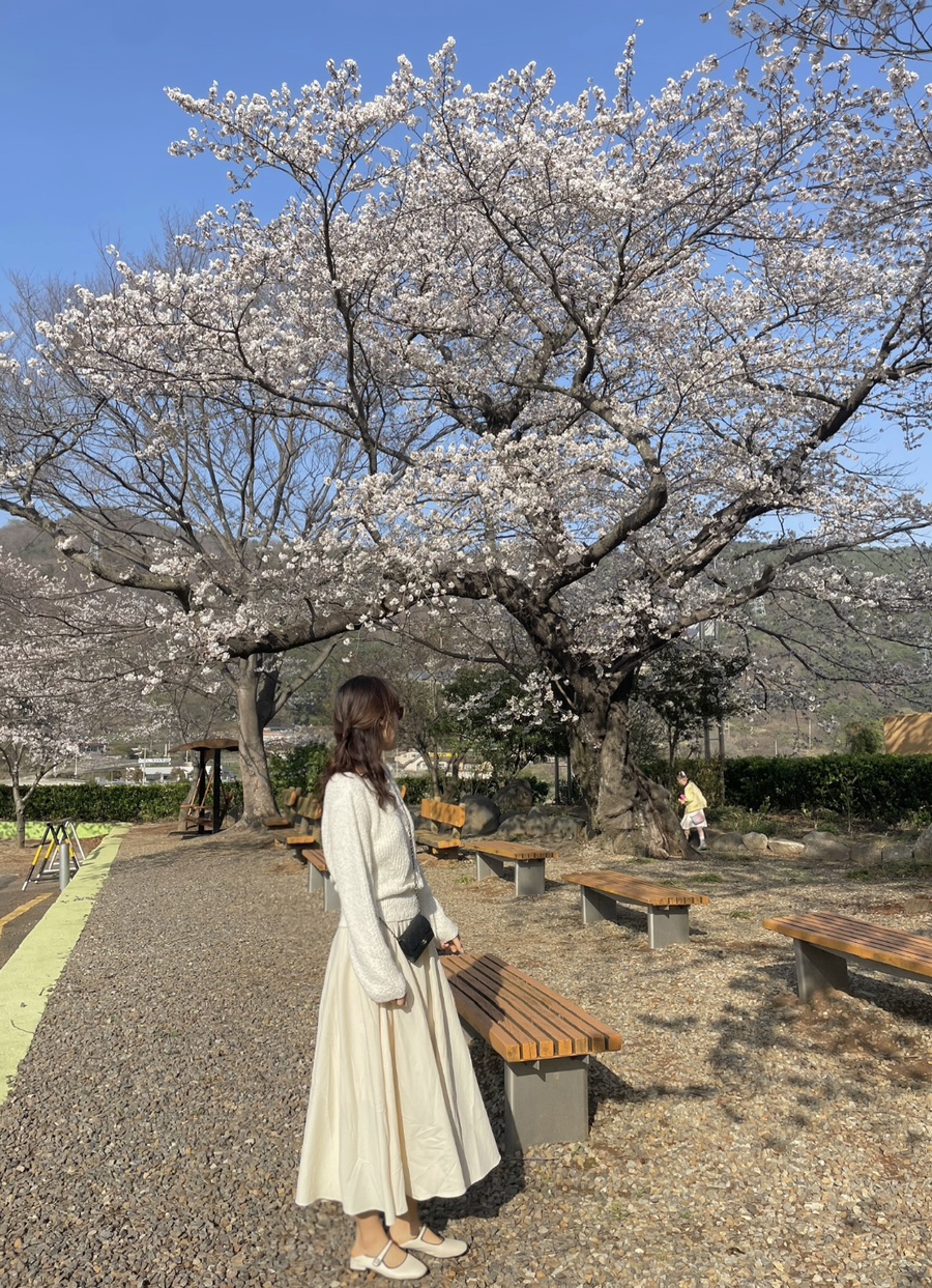 신대상사 이미지