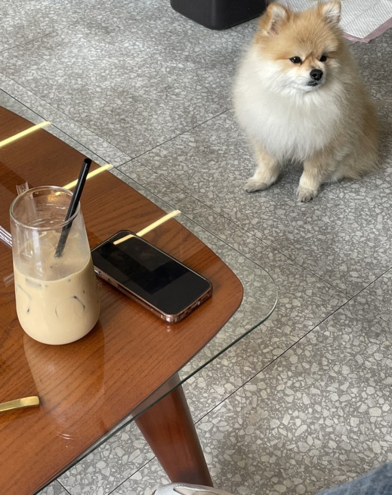 가현관광 이미지