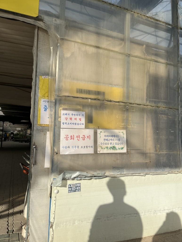 미래꽃화분 이미지