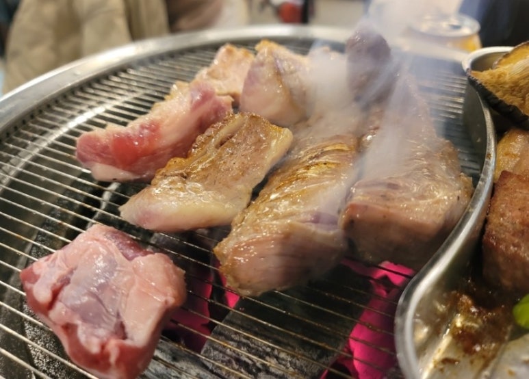 서씨고기 이미지