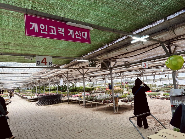 미래꽃화분 이미지