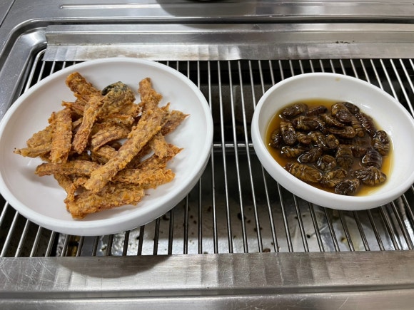 팔팔한민물장어 이미지