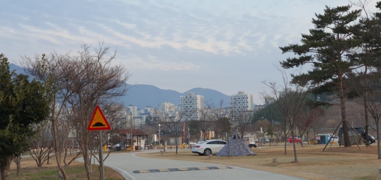 황산애견 이미지