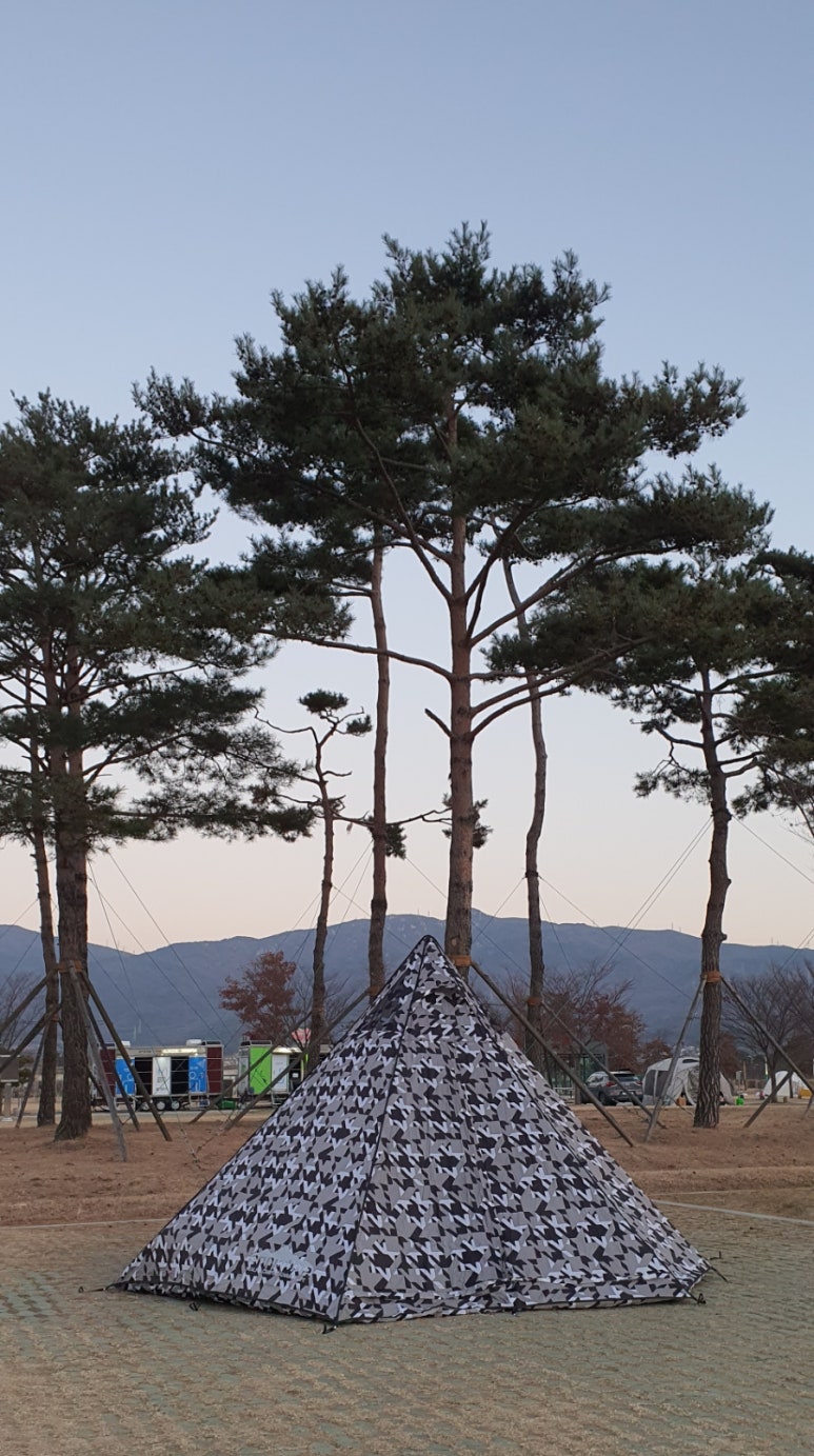 황산애견 이미지