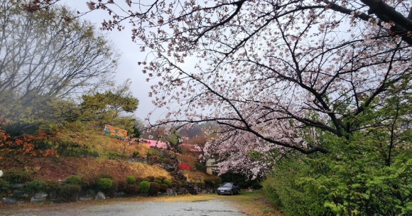 도린곁 이미지