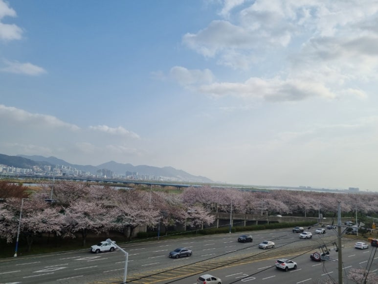 광인상사로레이 이미지