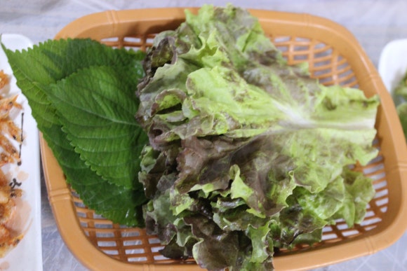 죽도해삼 이미지