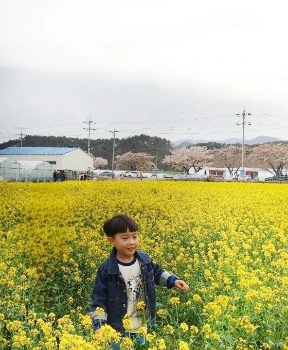 삼척갤럭시 이미지