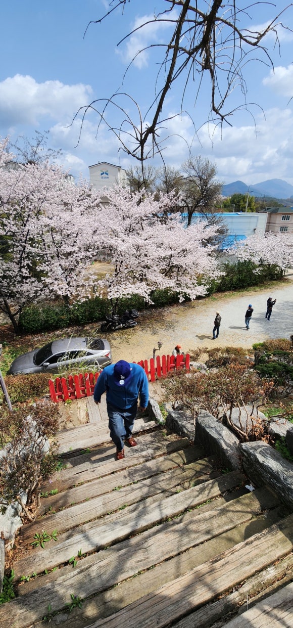 도린곁 이미지