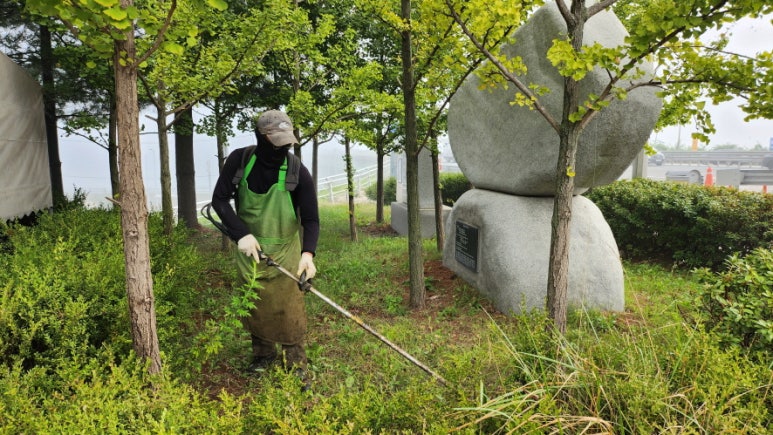조경관리 이미지