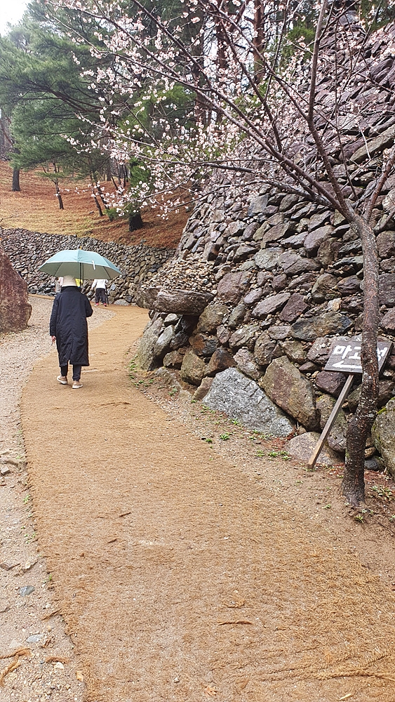 배달성전삼성궁 이미지