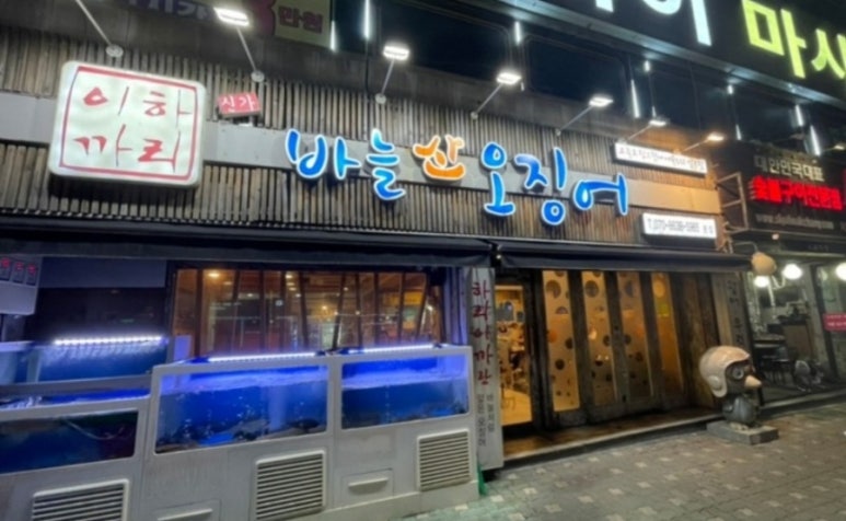 신가바늘산오징어 이미지