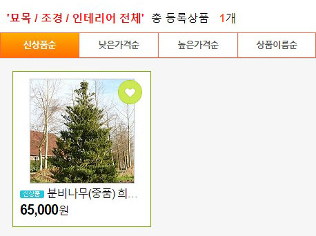케이조경 이미지