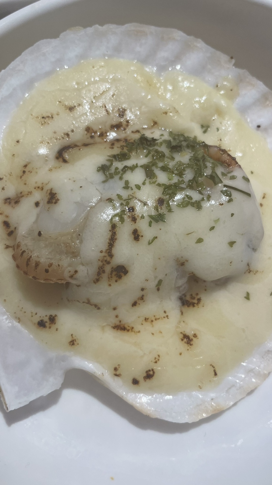 조개대통영 이미지