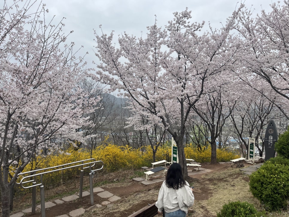 침산공원 이미지