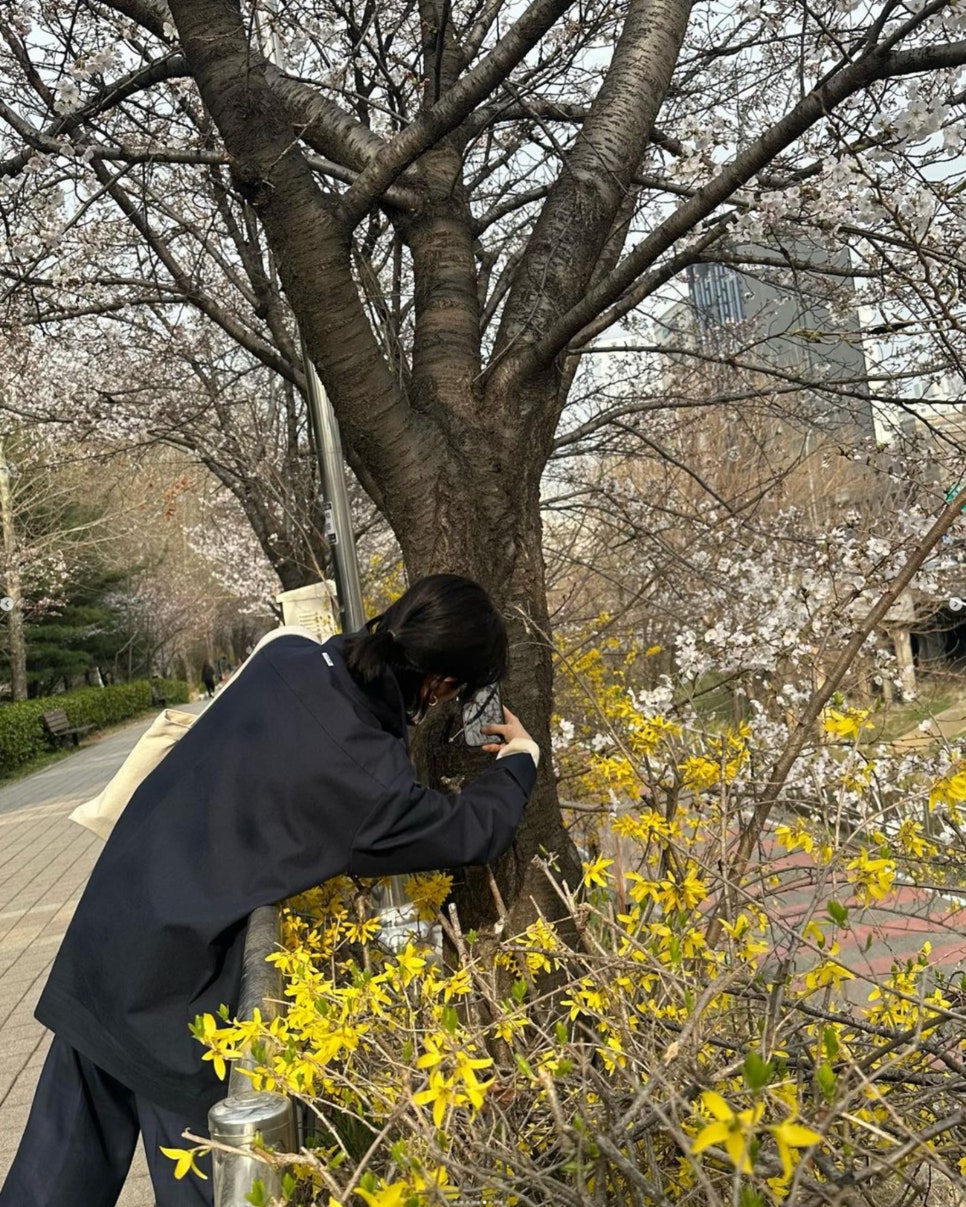 르 알타(LE ALTA) 이미지