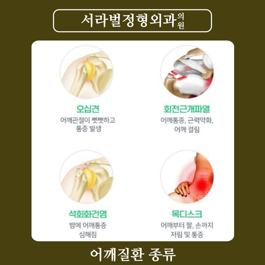 서라벌정형외과 이미지