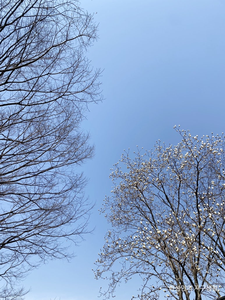 더드림한식뷔페 이미지