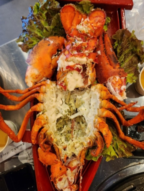 조새호 이미지