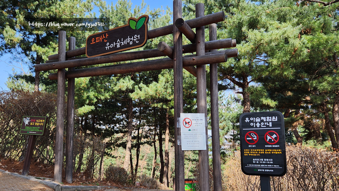 오패산 유아숲체험원 이미지