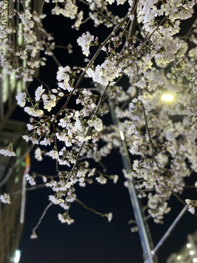 오라델떼(oradelte') 이미지