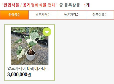 더케이야생화 이미지