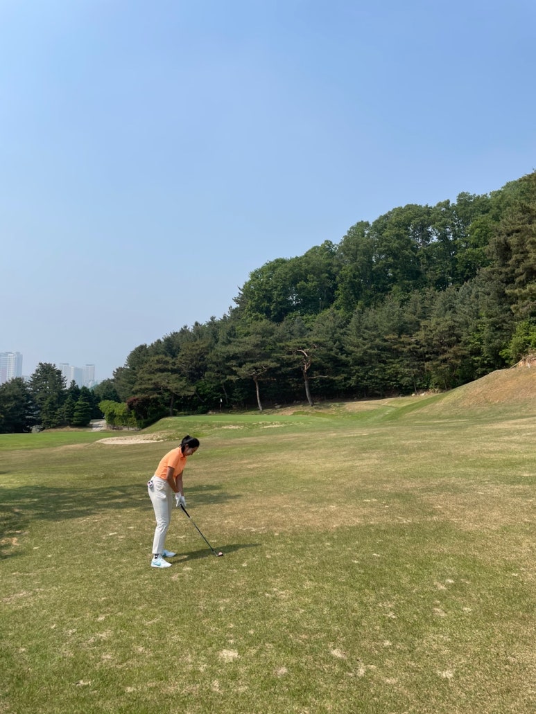 123골프클럽 이미지