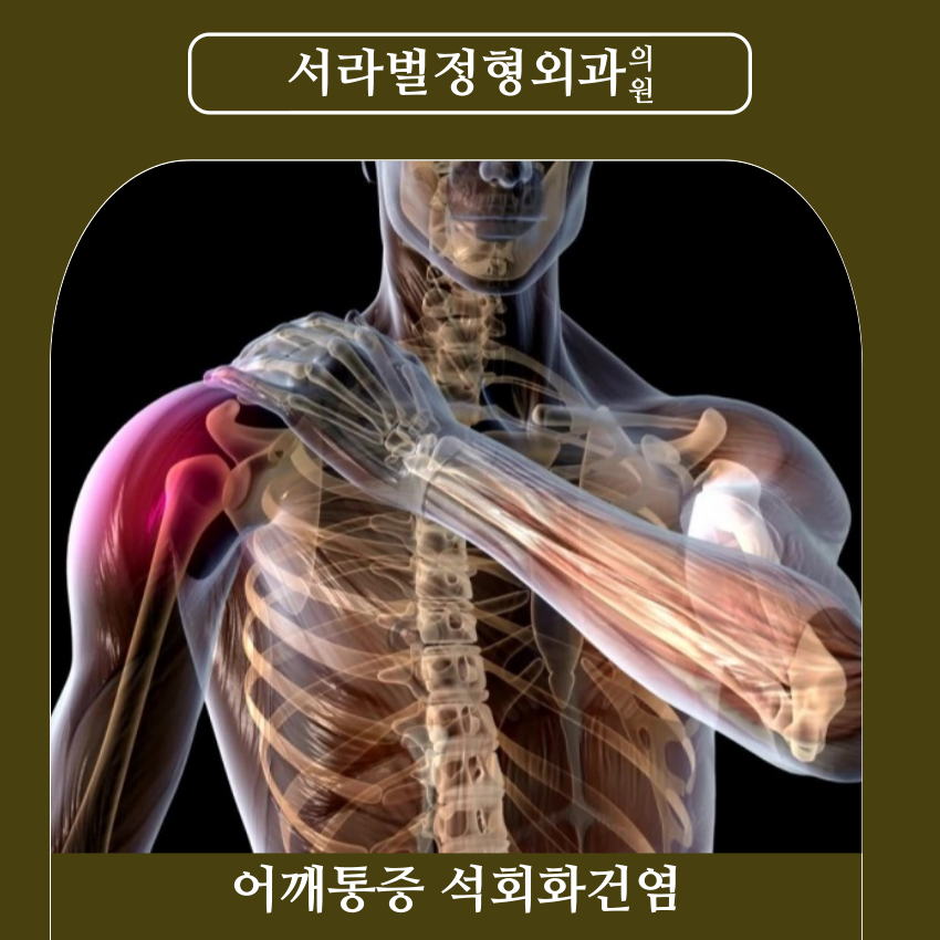 서라벌정형외과 이미지