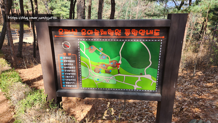 오패산 유아숲체험원 이미지