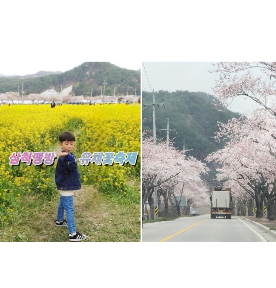 삼척갤럭시 이미지