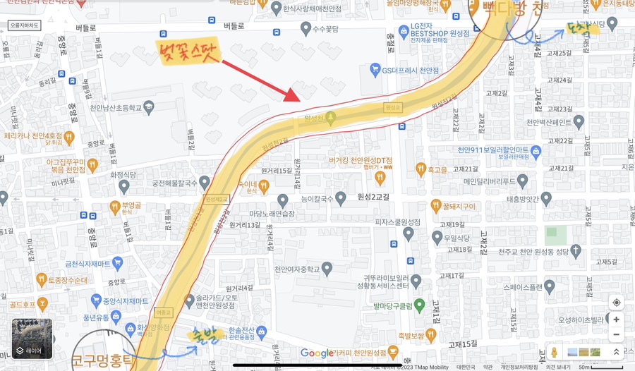 코구멍홍탁 이미지