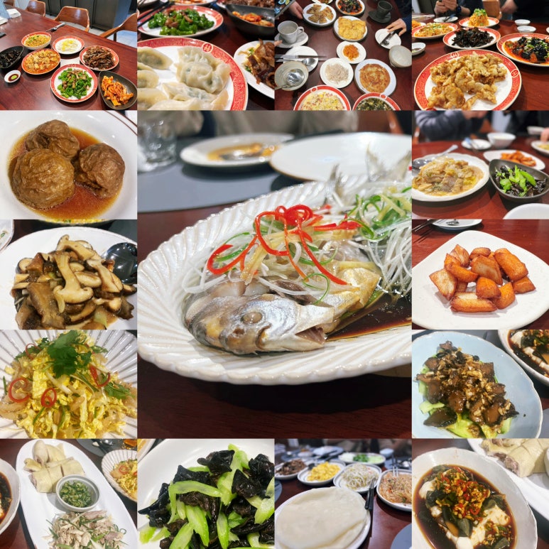 상하이최선생 이미지