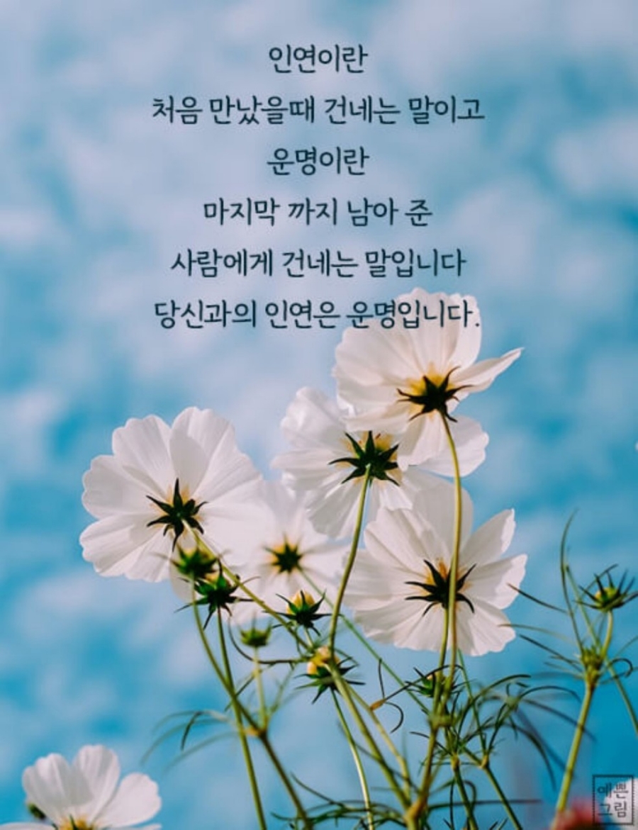 하루파출 이미지