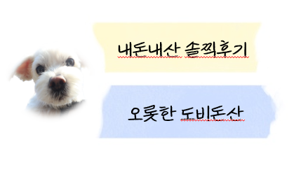 INCEPT(인셉트) 이미지