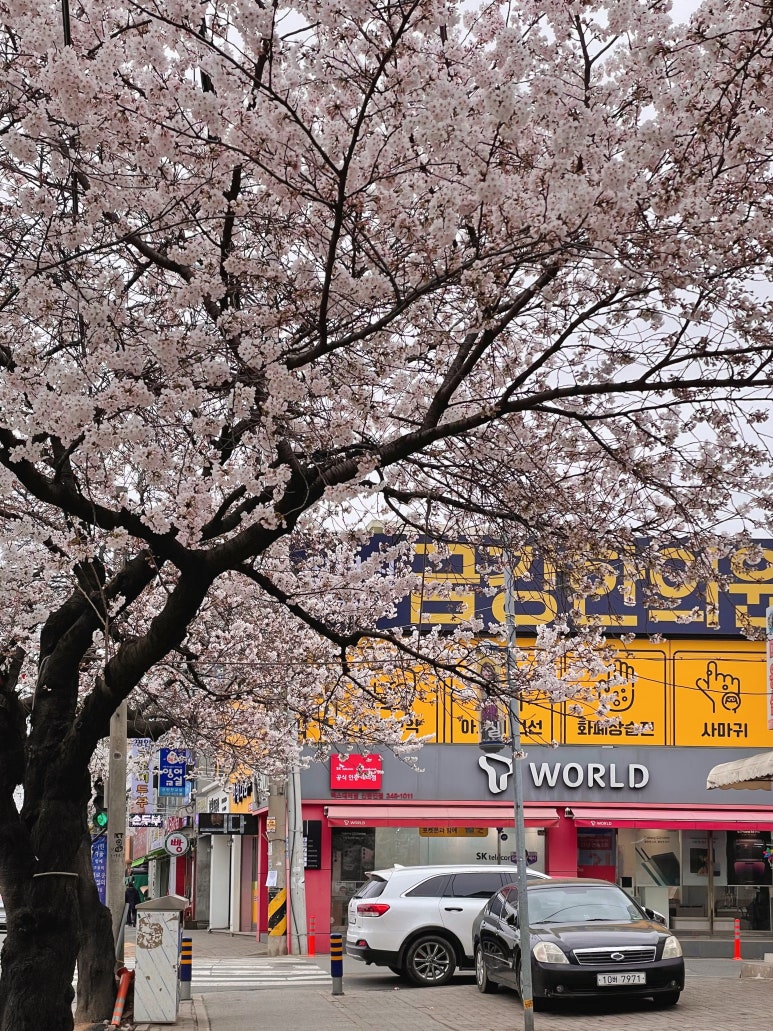 신탄진금강한의원 이미지