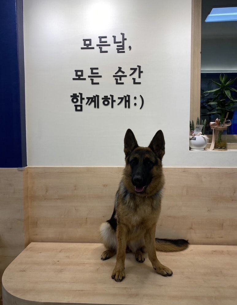 옥희시스템 이미지