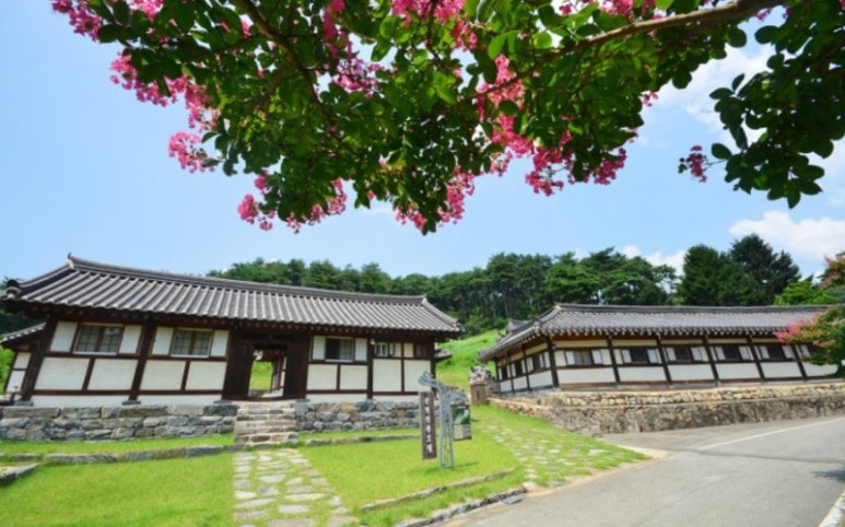 동백한상 이미지