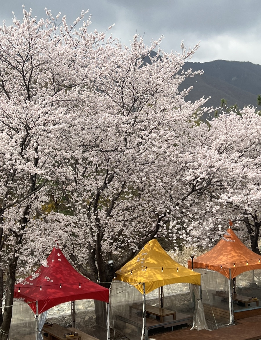 명성종가집 이미지