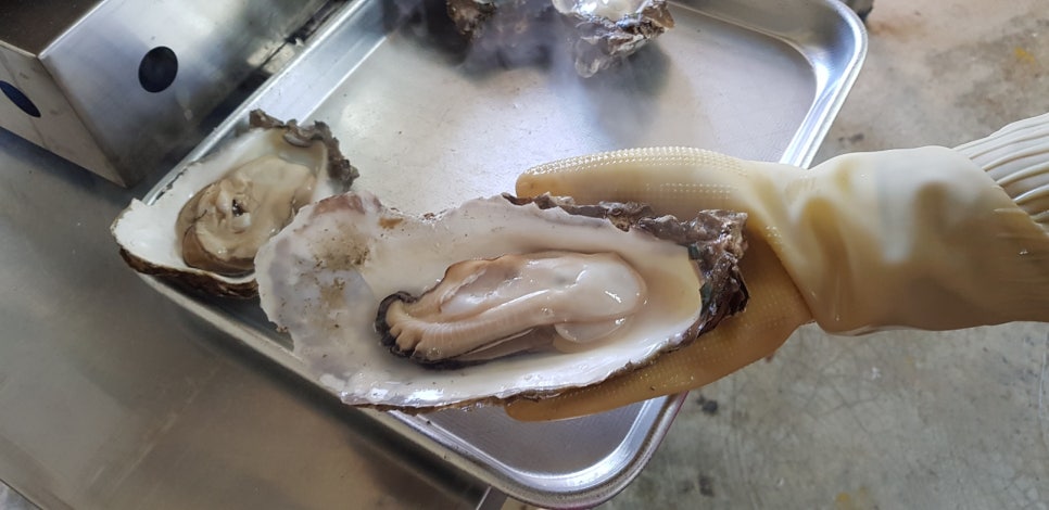 벚굴식당 이미지