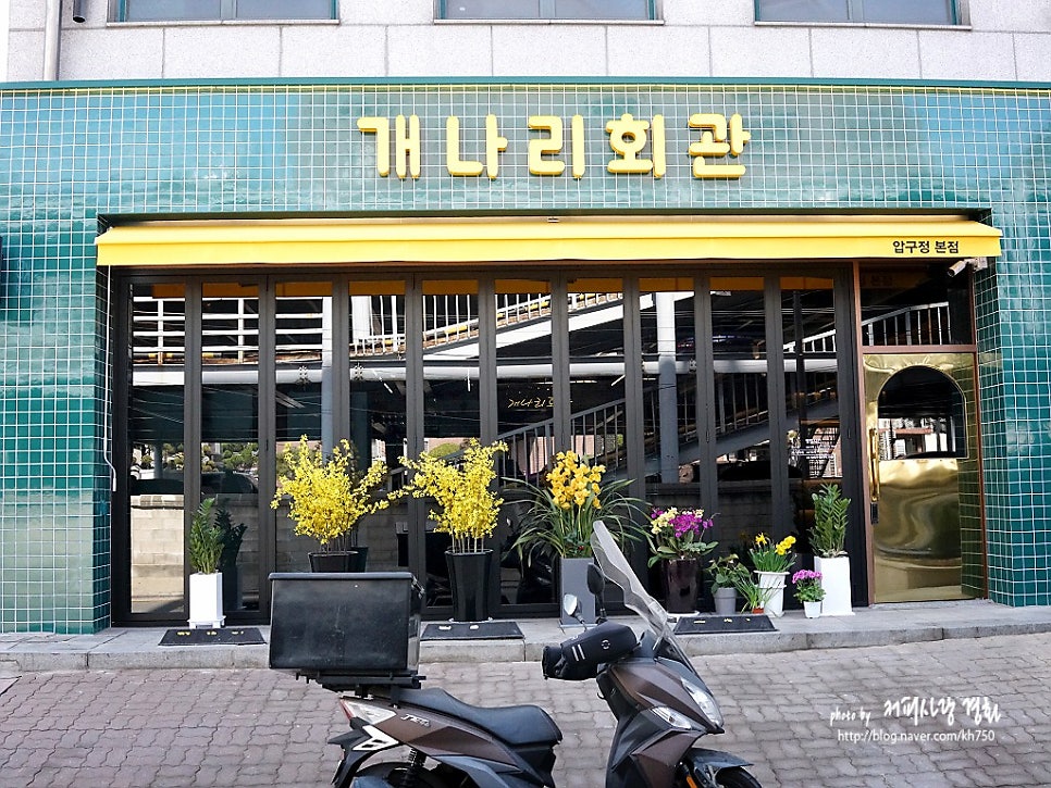개나리회관 이미지