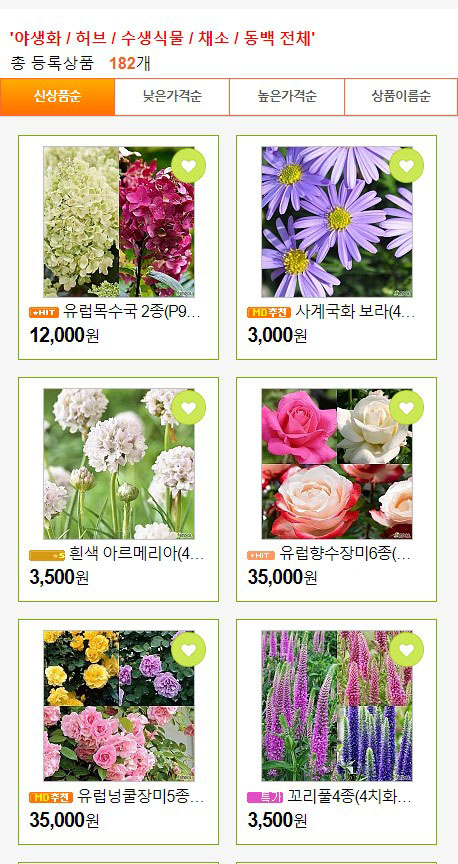 더케이야생화 이미지