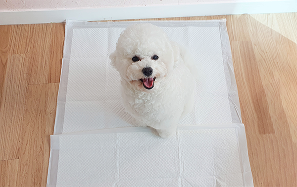 에이치비케이 이미지
